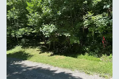 Tbd Little Tree Road, West Jefferson, NC 28694 - Photo 2
