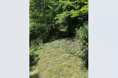 Tbd Little Tree Road, West Jefferson, NC 28694 - Photo 2