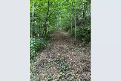 Tbd Little Tree Road, West Jefferson, NC 28694 - Photo 4