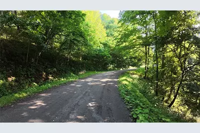 Tbd Little Tree Road, West Jefferson, NC 28694 - Photo 6