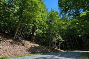 146 Sassafrass Rd, Beech Mountain, NC 28604 - Photo 1