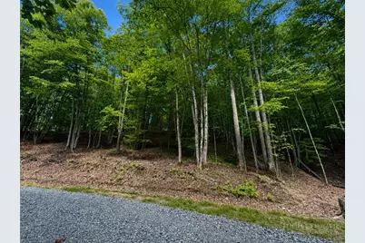 146 Sassafrass Road, Beech Mountain, NC 28604 - Photo 4