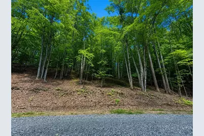 146 Sassafrass Road, Beech Mountain, NC 28604 - Photo 2