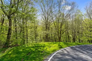 311 Dam Trail, Linville, NC 28646 - Photo 1