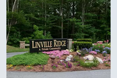 311 Dam Trail, Linville, NC 28646 - Photo 8