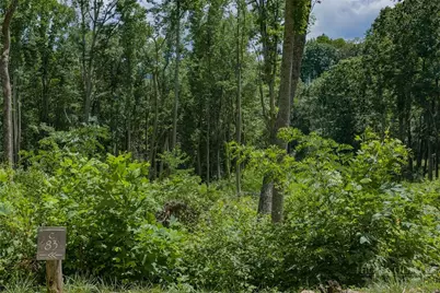 C-83 Smoke Rise Drive, Banner Elk, NC 28622 - Photo 2