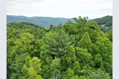 4 Fox Cove Road, Ferguson, NC 28624 - Photo 2