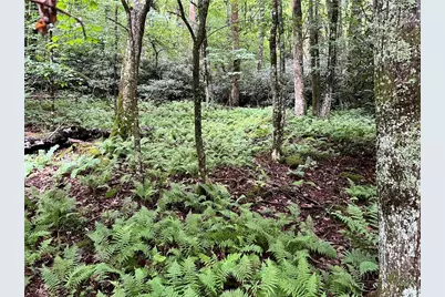 Lot 32 Piedra Road, Blowing Rock, NC 28605 - Photo 2