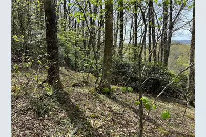 Lot 32 Piedra Road, Blowing Rock, NC 28605 - Photo 8