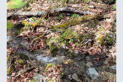 Lot 32 Piedra Road, Blowing Rock, NC 28605 - Photo 10