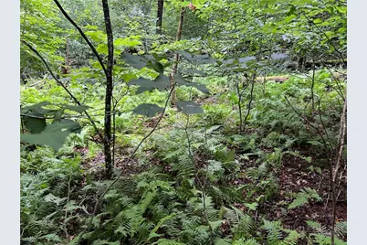 Lot 32 Piedra Road, Blowing Rock, NC 28605 - Photo 4