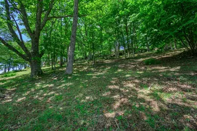Lot 41 Turkey Crossing Lane, Banner Elk, NC 28604 - Photo 12