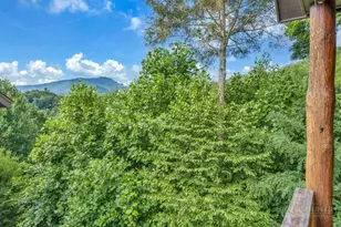 565 Peaceful Haven Dr, Boone, NC 28607 - Photo 2