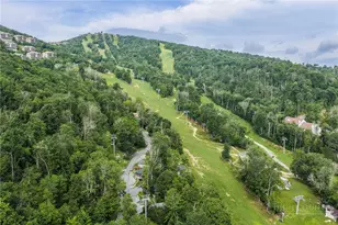 520 Briarcliff Rd, Sugar Mountain, NC 28604 - Photo 40
