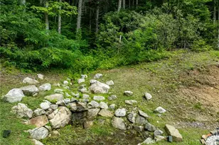 906 Mountaindale Rd, Vilas, NC 28692 - Photo 40