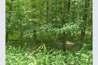 Lot 90 Thorncliff Drive, Seven Devils, NC 28607 - Photo 1