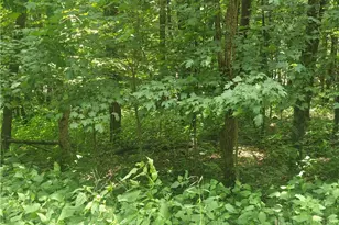 Lot 90 Thorncliff Dr, Seven Devils, NC 28607 - Photo 1