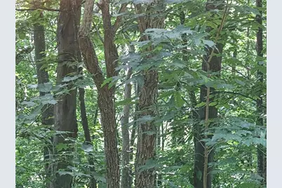 Lot 90 Thorncliff Drive, Seven Devils, NC 28607 - Photo 4