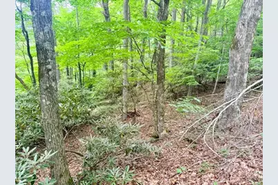 Lot 17 Savannah Drive, West Jefferson, NC 28694 - Photo 8