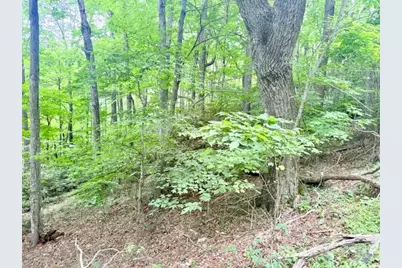 Lot 17 Savannah Drive, West Jefferson, NC 28694 - Photo 6