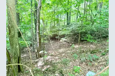 Lot 17 Savannah Drive, West Jefferson, NC 28694 - Photo 2