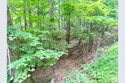 Lot 17 Savannah Drive, West Jefferson, NC 28694 - Photo 4