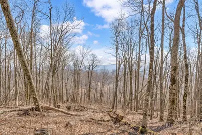 Lot 86 Elk Creek Mountain Parkway, Todd, NC 28684 - Photo 12