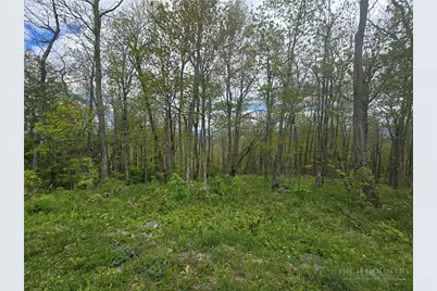 Lot 86 Elk Creek Mountain Parkway, Todd, NC 28684 - Photo 8