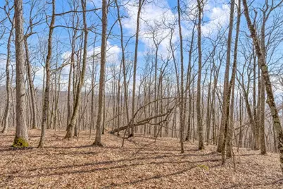 Lot 86 Elk Creek Mountain Parkway, Todd, NC 28684 - Photo 10