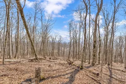 Lot 86 Elk Creek Mountain Parkway, Todd, NC 28684 - Photo 6