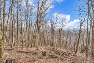 Lot 86 Elk Creek Mountain Parkway, Todd, NC 28684 - Photo 2