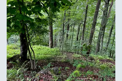 Tbd Heritage Drive, Boone, NC 28607 - Photo 20