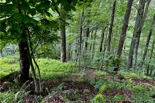 Tbd Heritage Dr, Boone, NC 28607 - Photo 20