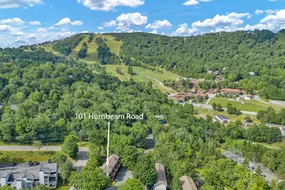 101 Hornbeam Road #1D, Beech Mountain, NC 28604 - Photo 8