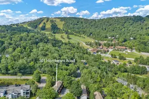101 Hornbeam Rd, Beech Mountain, NC 28604 - Photo 8