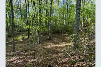 735 Weaver Ford Road, Grassy Creek, NC 28631 - Photo 46