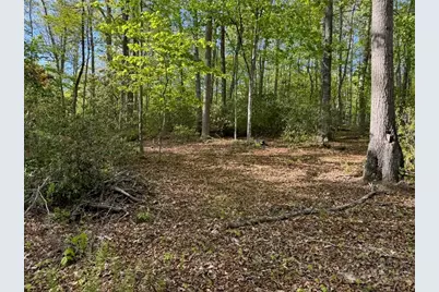 735 Weaver Ford Road, Grassy Creek, NC 28631 - Photo 42