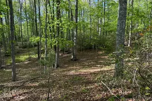 735 Weaver Ford Rd, Grassy Creek, NC 28631 - Photo 46