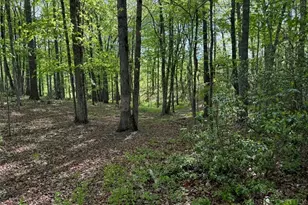 735 Weaver Ford Rd, Grassy Creek, NC 28631 - Photo 42