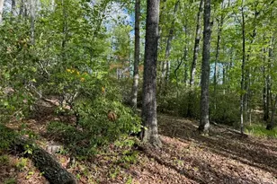 735 Weaver Ford Rd, Grassy Creek, NC 28631 - Photo 44