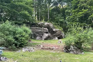 615 New Homestead Dr, Vilas, NC 28692 - Photo 46