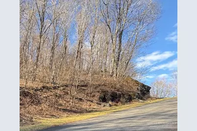 Lot 32 Jewel Weed Trail, Newland, NC 28657 - Photo 1