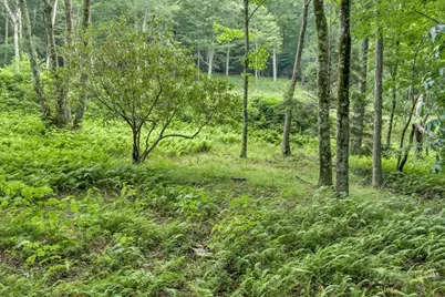Tbd Featherwood Trail, Banner Elk, NC 28604 - Photo 30