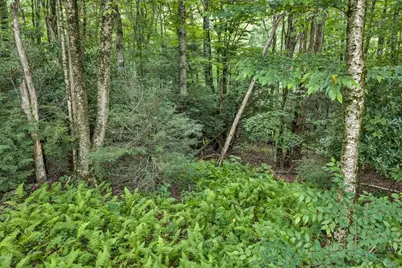 Tbd Featherwood Trail, Banner Elk, NC 28604 - Photo 26