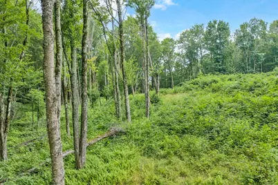 Tbd Featherwood Trail, Banner Elk, NC 28604 - Photo 18