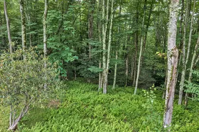 Tbd Featherwood Trail, Banner Elk, NC 28604 - Photo 24