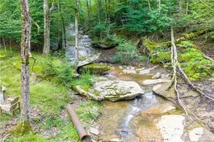 106 W Pond Creek Rd, Beech Mountain, NC 28604 - Photo 32
