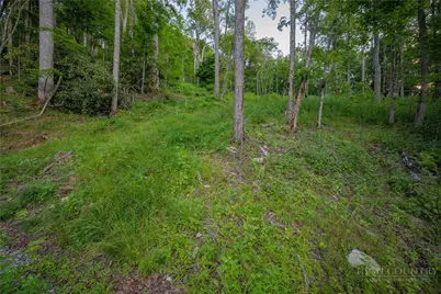 Lot 4 Elk Creek Drive, Banner Elk, NC 28604 - Photo 6