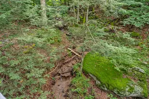 211 Foxgrape Hollow, Beech Mountain, NC 28604 - Photo 22