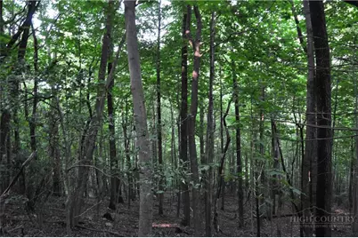 Tbd Highland Laurel Lane, Deep Gap, NC 28618 - Photo 22